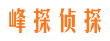 岳麓峰探私家侦探公司